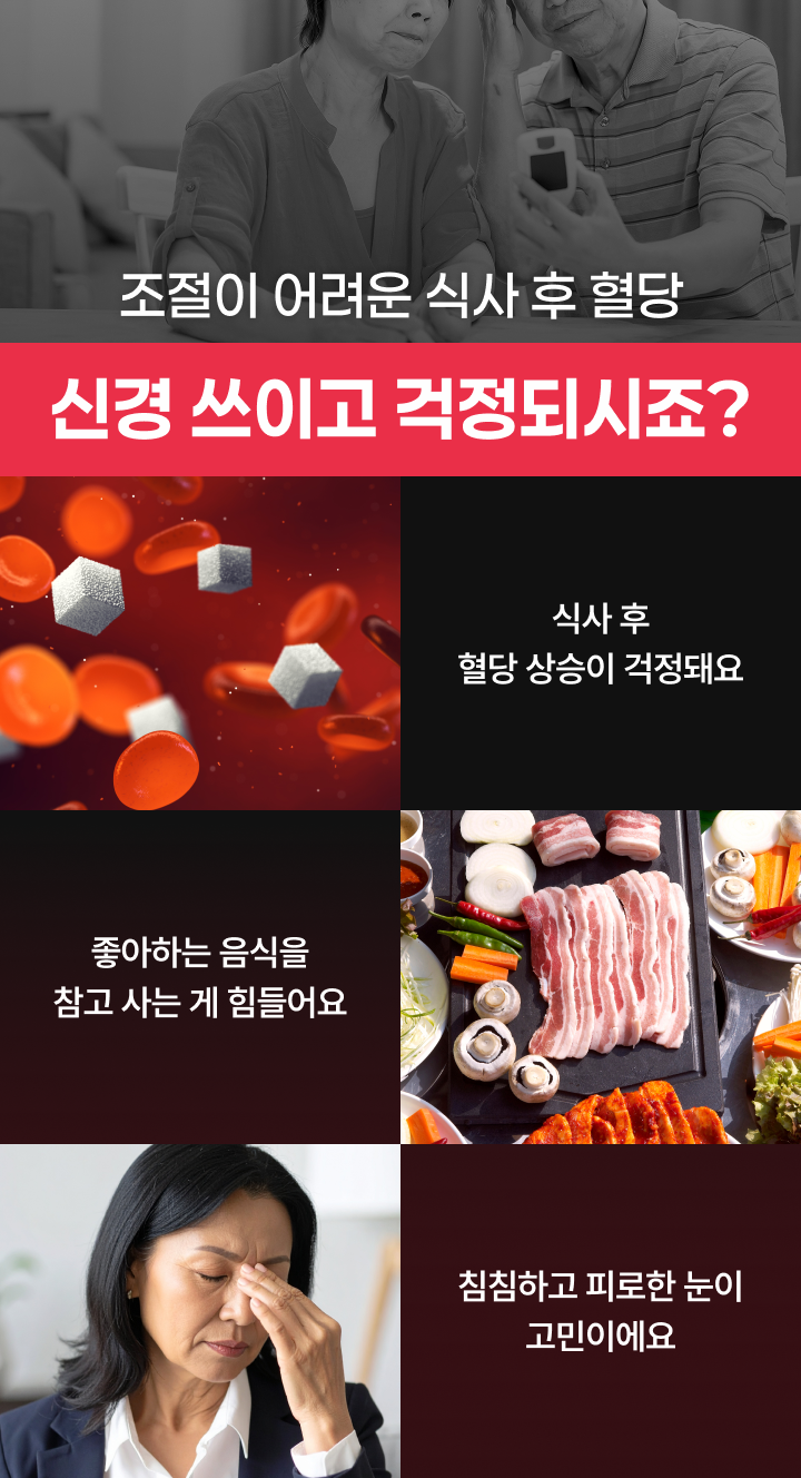 혈당 눈건강 솔루션 가격 서비스 안내 1